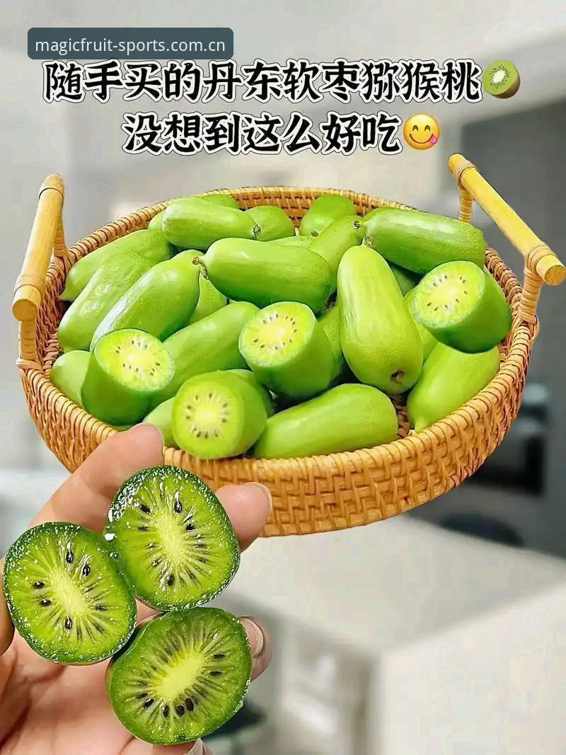 奇异果体育直播实战指南：从安装到实时数据查看的完整教程