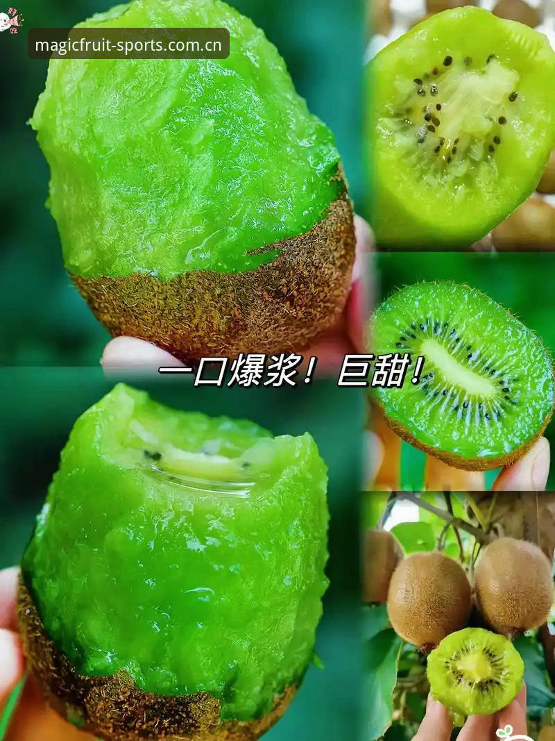揭秘奇异果体育平台即时数据：技术评测背后的真相